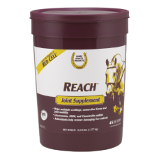 Reach™ Joint Supplement