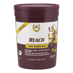 Reach™ Joint Supplement
