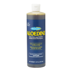 Aloedine® Aloe Vera & Iodine Medicated Shampoo - 16oz