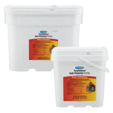 PyrantelCare Daily Dewormer 2.11% PyrantelCare Daily Dewormer 2.11%