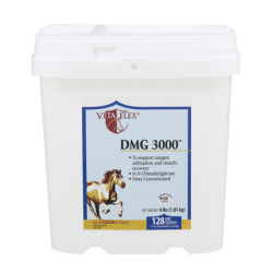 DMG 3000™ - 4lb.