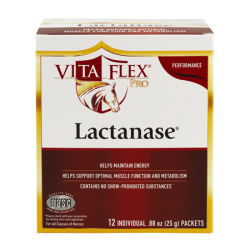 Lactanase Performance Supplement