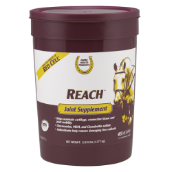 Horse Health Reach Joint Supplement Horse Health Reach Joint Supplement