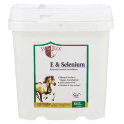 Vita Flex E & Selenium Balanced Essential Antioxidants