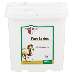 Vita Flex Pure Lysine Vita Flex Pure Lysine