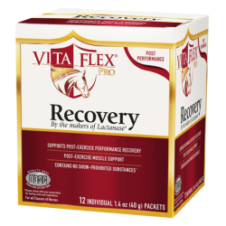 Vita Flex Recovery Performance Horse Supplement Vita Flex Recovery Performance Horse Supplement