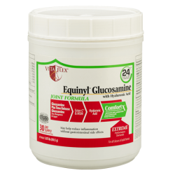 Vita Flex Equinyl Glucosamine With Hyaluronic Acid Joint Formula
